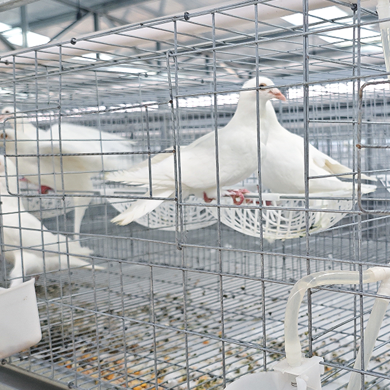 Jiangsu Huinong Jingmu Technology Co., Ltd.
