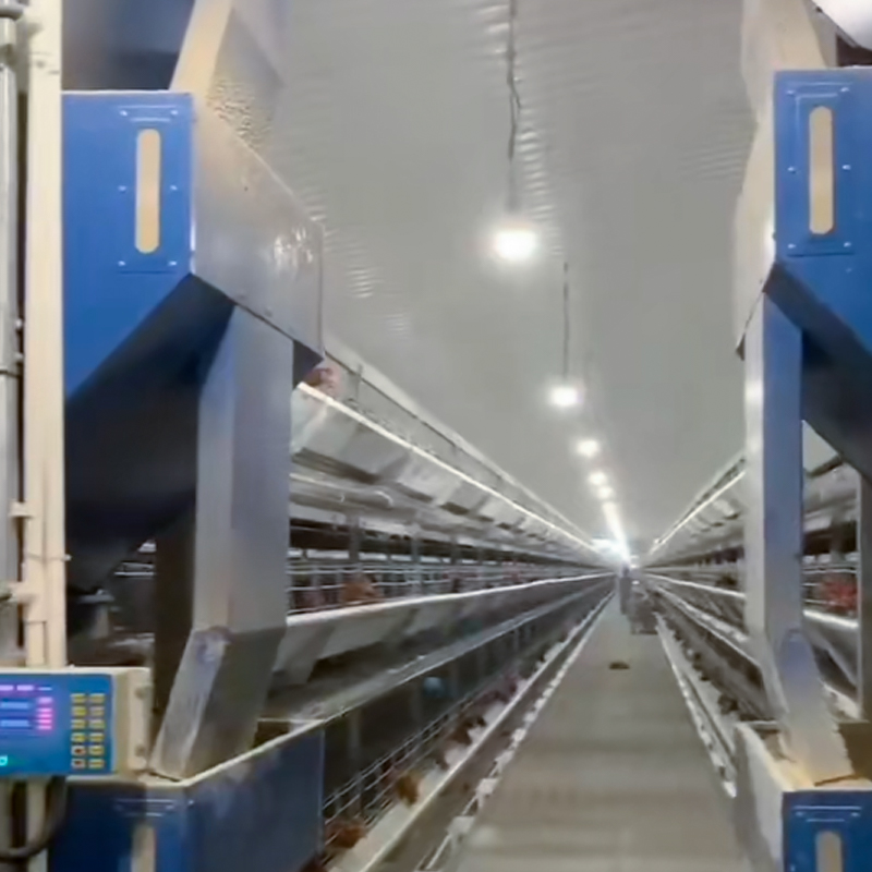 Jiangsu Huinong Jingmu Technology Co., Ltd.