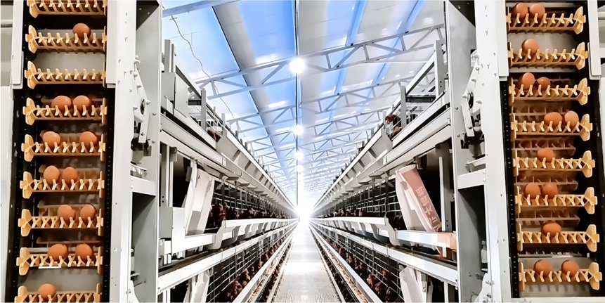 Jiangsu Huinong Jingmu Technology Co., Ltd.